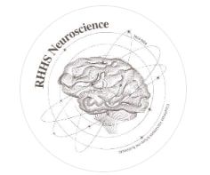 Brainbee (Neuroscience) Club